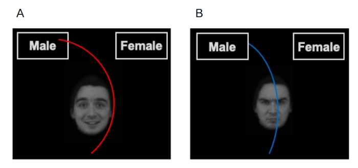 Figura 1. Ejemplo de ensayos de categorización de género en la tarea Seguimiento del Ratón de Barnett y colaboradores (2021). A) Ensayo incongruente de categorización de género. B) Ensayo congruente de categorización de género. Male (Hombre). Female (Mujer).