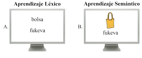 Figura 2. Ejemplos de las metodologías de aprendizaje empleadas en el estudio. A) Para el grupo de aprendizaje léxico, las palabras en la lengua materna se presentan junto con sus traducciones en la lengua extranjera. B) Para el grupo de aprendizaje semántico, las nuevas palabras son presentadas junto con imágenes que denotan su significado.